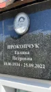 Захоронение ID 6351191