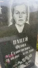 Захоронение ID 6351534