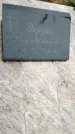 Захоронение ID 6351664