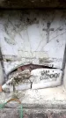 Захоронение ID 6351848