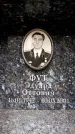 Захоронение ID 6351864