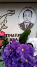 Захоронение ID 6351928