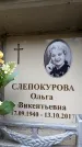 Захоронение ID 6351967