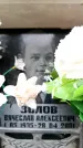 Захоронение ID 6351991
