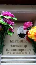 Захоронение ID 6352044