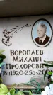 Захоронение ID 6352077