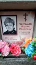 Захоронение ID 6352116