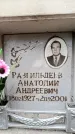 Захоронение ID 6352134