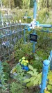 Захоронение ID 6352290