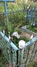 Захоронение ID 6352291