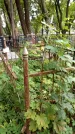 Захоронение ID 6352315