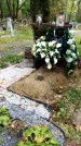 Захоронение ID 6352331