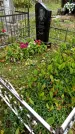 Захоронение ID 6352333