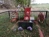 Братская могила д. Мяклово 4466