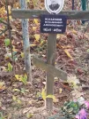 Захоронение ID 6358053