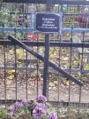Захоронение ID 6356886