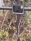 Захоронение ID 6356860