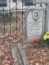 Захоронение ID 6356819