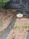 Захоронение ID 6358041