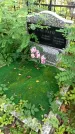 Захоронение ID 6352346