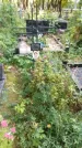 Захоронение ID 6352370