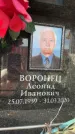 Захоронение ID 6352572