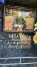 Захоронение ID 6352796