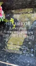 Захоронение ID 6352798