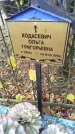 Захоронение ID 6352856