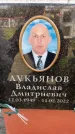 Захоронение ID 6353006