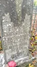 Захоронение ID 6353045