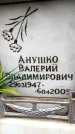 Захоронение ID 6353086