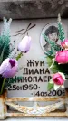 Захоронение ID 6353090