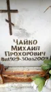 Захоронение ID 6353095