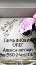 Захоронение ID 6353133