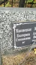 Захоронение ID 6353326