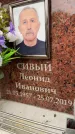 Захоронение ID 6353389