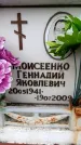 Захоронение ID 6353549