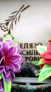 Захоронение ID 6353555