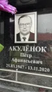 Захоронение ID 6353616
