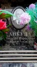 Захоронение ID 6353701