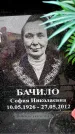 Захоронение ID 6353717