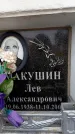 Захоронение ID 6353733