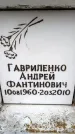 Захоронение ID 6353746