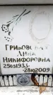 Захоронение ID 6353774