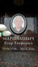 Захоронение ID 6353811