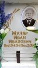 Захоронение ID 6353828