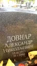 Захоронение ID 6353926