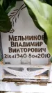 Захоронение ID 6353968