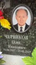 Захоронение ID 6354148